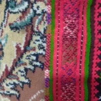 کریشی سرتوپ اینه