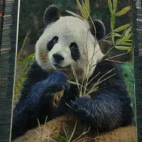 کامپیوتری و دست بافت بدونه واسطه