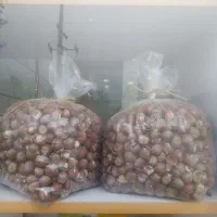 فروش انواع فندق خام. الک و ترک زده و برشته نمکی|خوردنی و آشامیدنی|رودسر, |دیوار