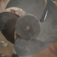 فن24هزار1500 فن18هزار1200 فن12هزار1میلیون|قطعات و لوازم جانبی رایانه|چابهار, |دیوار