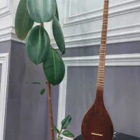 سه تار|سازهای سنتی|کرج, عظیمیه|دیوار