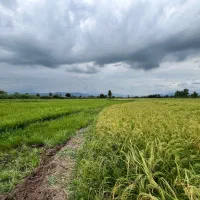 زمین-کشاورزی-در-نجم-اباد