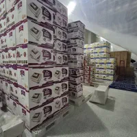 گروه صنعتی اسکندری جوجه کشی 48 عددی(تمام ظرفیتها)