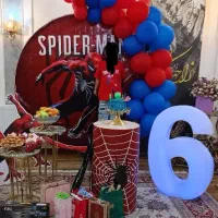 تم مرد عنکبوتی