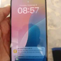 ایفون۱۳پرو مکس گلد|موبایل|کوار, |دیوار