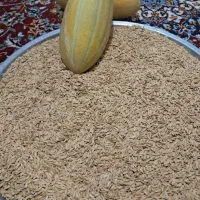 تخمه خربزه هندوانه