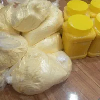 تولیدی فروش روغن کره گاو بدون بو با دستگاه صنعتی