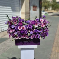 باکس گل ویولت کد ۱۶۸۳ گلاریس|گل و گیاه طبیعی|تهران, آسمان|دیوار