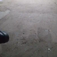 نگهبان شب برای دامداری