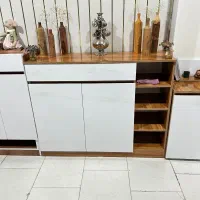 جاکفشی پویا