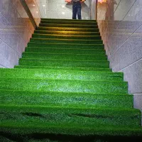 نصاب کاغذدیواری.کفپوش چمن مصنوعی موکت بومی بندر|خدمات پیشه و مهارت|بندرعباس, |دیوار