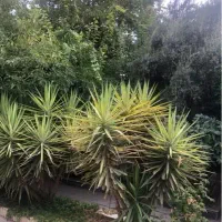 طبقه-دوم-ویلایی-145-متری-باغ-حوض