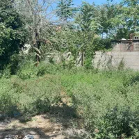 یک قطعه زمین در قلب طبیعت