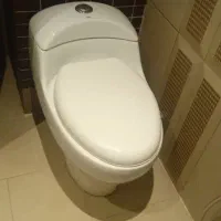 توالت فرنگی