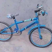 دو عدد دوچرخه شماره ۲۰