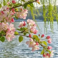 وام مهربانی بانک ملی