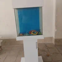 اکواریوم با وسایل