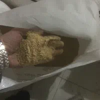 دون جوجه و مرغ خروس|حیوانات مزرعه|ورامین, ورامین|دیوار