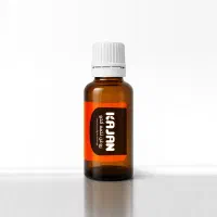 روغن تخم کدو درمان پروستات وسنگ کلیه