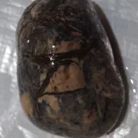 سنگهای زیبا به حراج گذاشته میشود|جواهرات|چناران, |دیوار