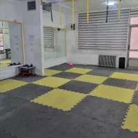تاتمی دست دو