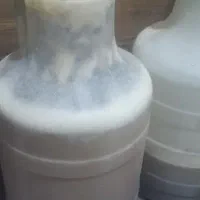 فروش عسل کنار|خوردنی و آشامیدنی|لیکک, |دیوار