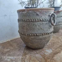 تعدادی گلدان|گل و گیاه طبیعی|اهواز, سیصد دستگاه|دیوار