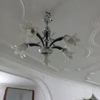 لوستر پذیرایی