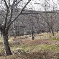 باغ روستای تینمو