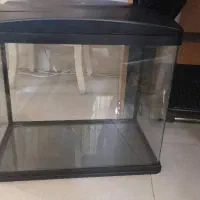 آکواریوم ماهیران