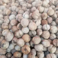 گردوی خشک درجه یک مغز سفید