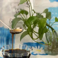 دوشاوی‌محله‌ی‌طبیعی‌(گزوو)