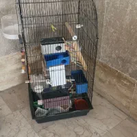 قفس پرندگان