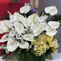 باکس گل آماده ارسال سبدگل طبیعی گلفروشی انلاین