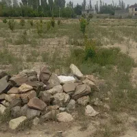 زمین باغی فولادمحله