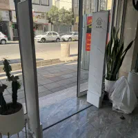 رگال مانکن شلف چوبکار دزدگیر