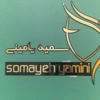 استخدام اکستنشن کار حرفه ای