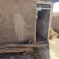 خانه کلنگی