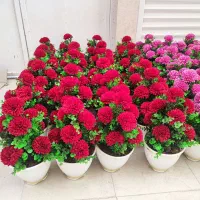 گل مصنوعی روز مادر|گل مصنوعی|قم, نیروگاه|دیوار