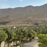 شهرک آویشن 500 متر تک برگ 6دانگ