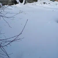 فروش-زمین-نوبهار