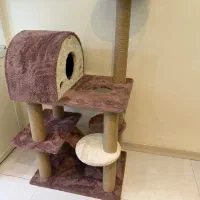 اسکرچر گربه