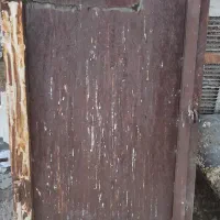 در سالم واسه لونه کفتر بدون پوسیدگی سالم سالم