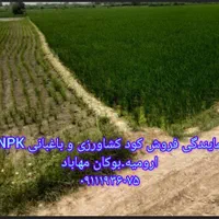 کود آلی گرانوله|گل و گیاه طبیعی|بوکان, |دیوار