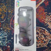 اسپیکر ۲۰ وات بزرگ دو باند