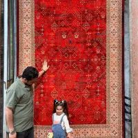 فرش ماشینی در رنگ‌های آرامش‌بخش و طرح‌های جذاب|فرش|ایذه, |دیوار