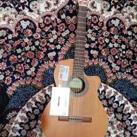 گیتار الحمبرا زد نیچر پیکاپدارz nature cw ez