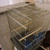 قفس پژاوندطوطی سانان