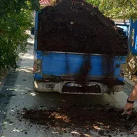 پخش کود گاوی گوسفندی خاک باغچه و..|خدمات باغبانی و درختکاری|کرج, کمالشهر|دیوار