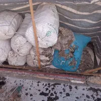 فضله